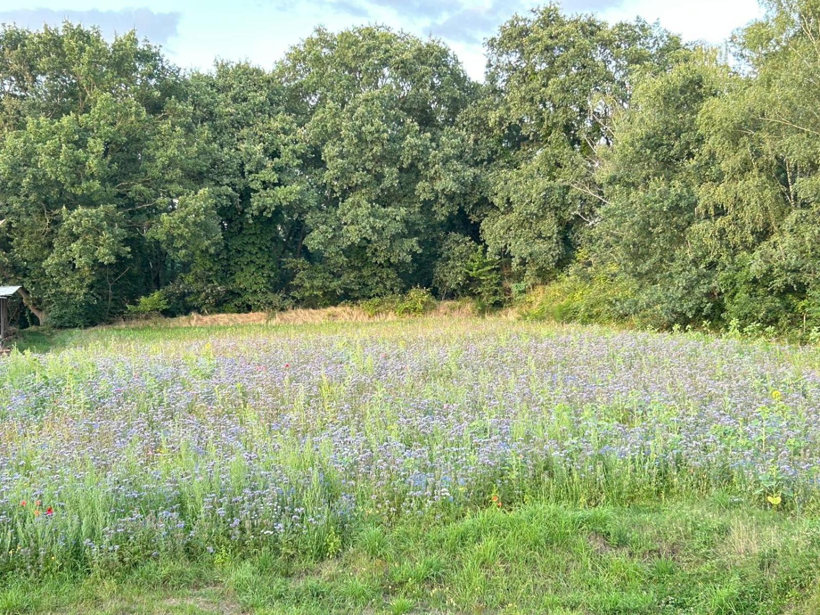 Xantener Ferienhaus Heeser Weg Zewnętrze zdjęcie